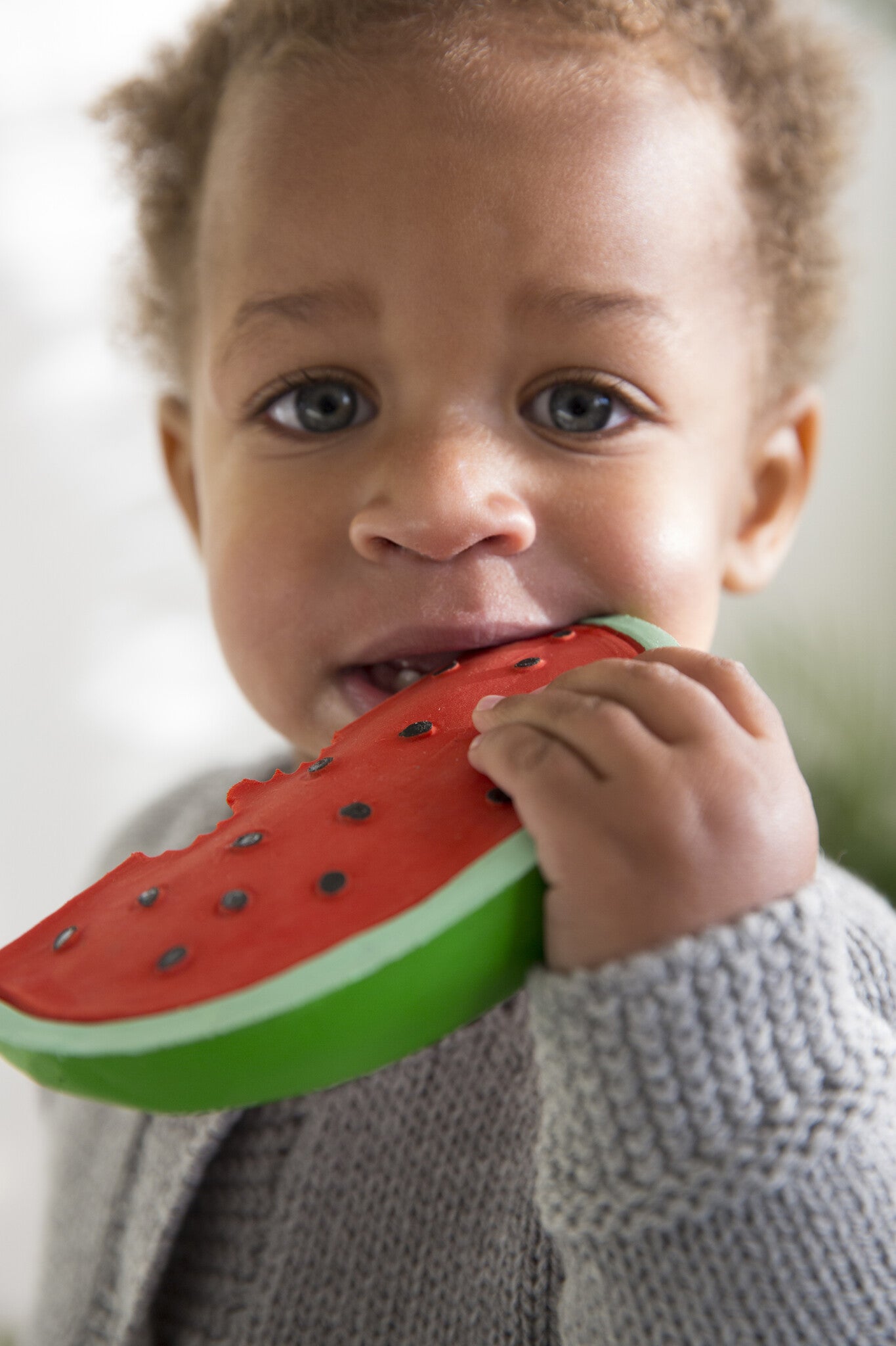 Wally watermelon sale